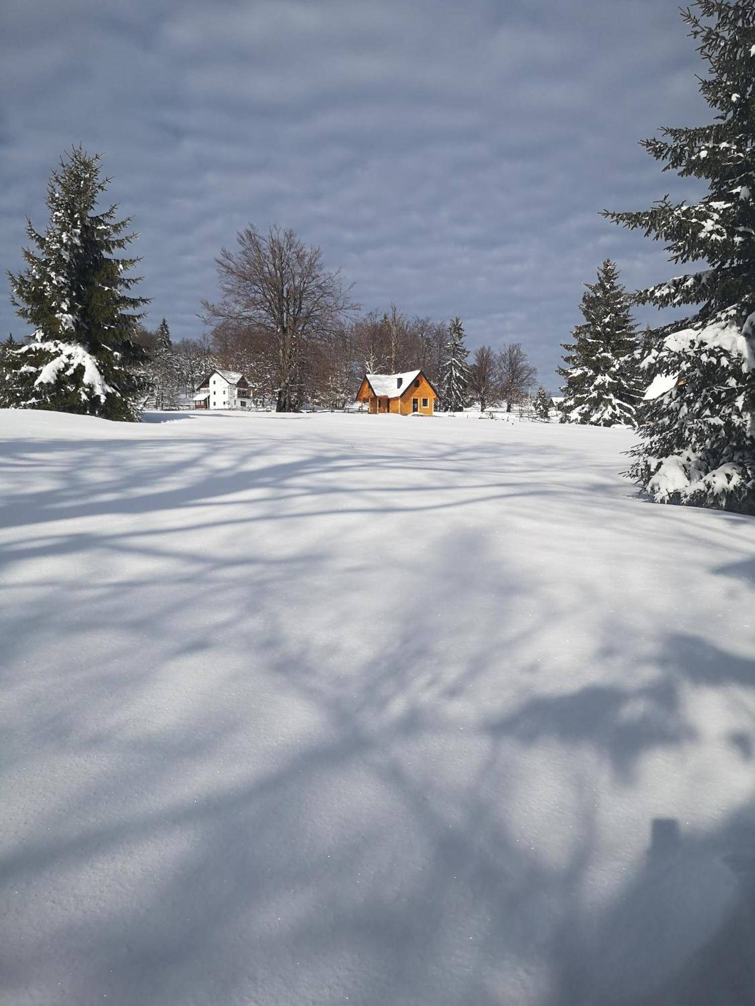 Brvnare Krstigora Villa Zaovine Oda fotoğraf