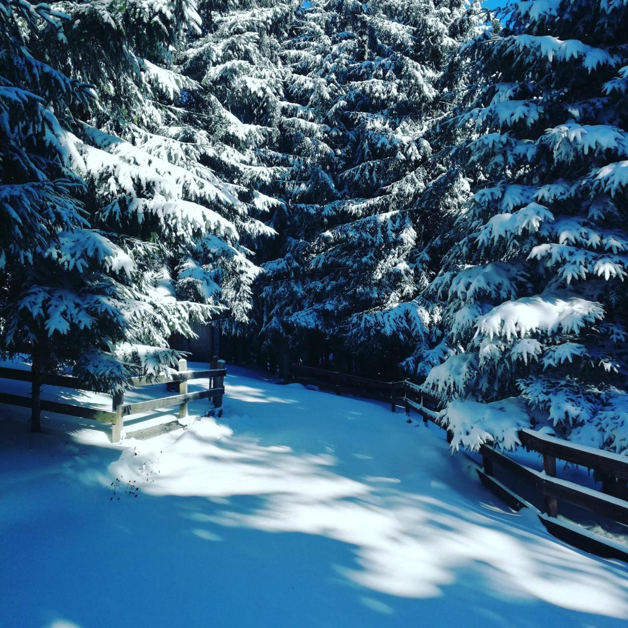 Brvnare Krstigora Villa Zaovine Dış mekan fotoğraf