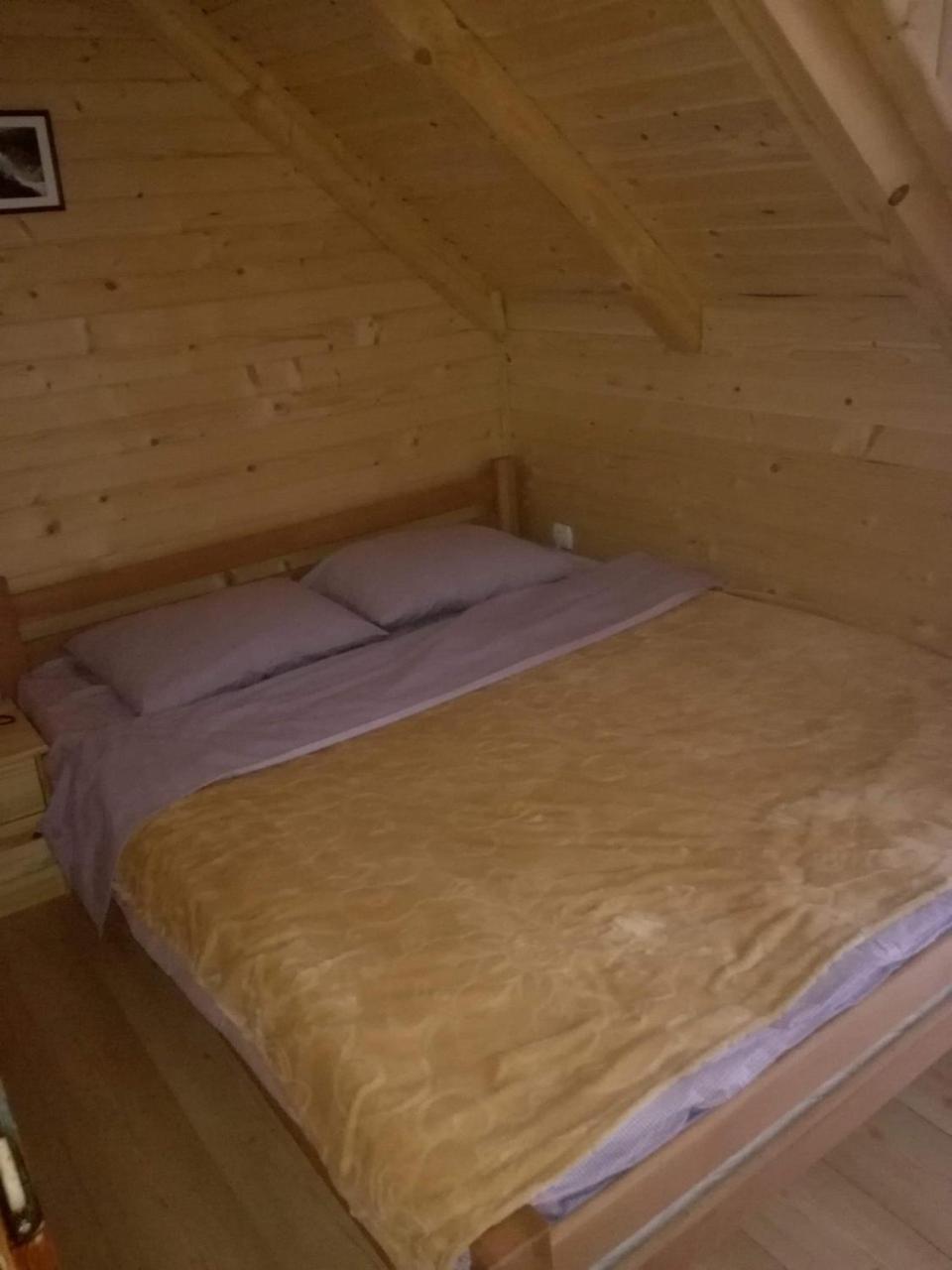Brvnare Krstigora Villa Zaovine Dış mekan fotoğraf